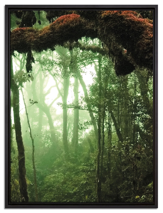 Regenwald Moos Lianen See auf Leinwandbild gerahmt Größe 80x60