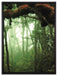 Regenwald Moos Lianen See auf Leinwandbild gerahmt Größe 80x60
