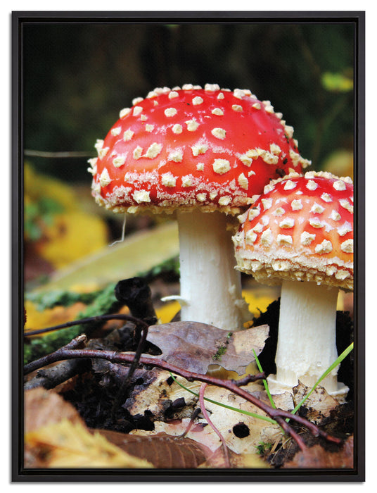 Pilz im Wald auf Leinwandbild gerahmt Größe 80x60