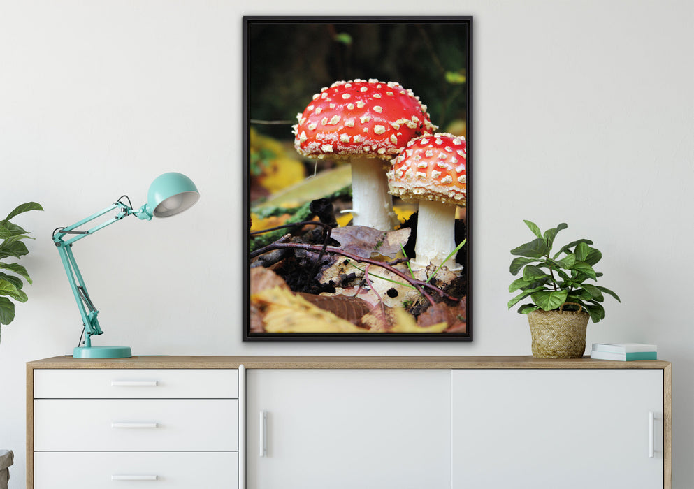 Pilz im Wald auf Leinwandbild gerahmt verschiedene Größen im Wohnzimmer