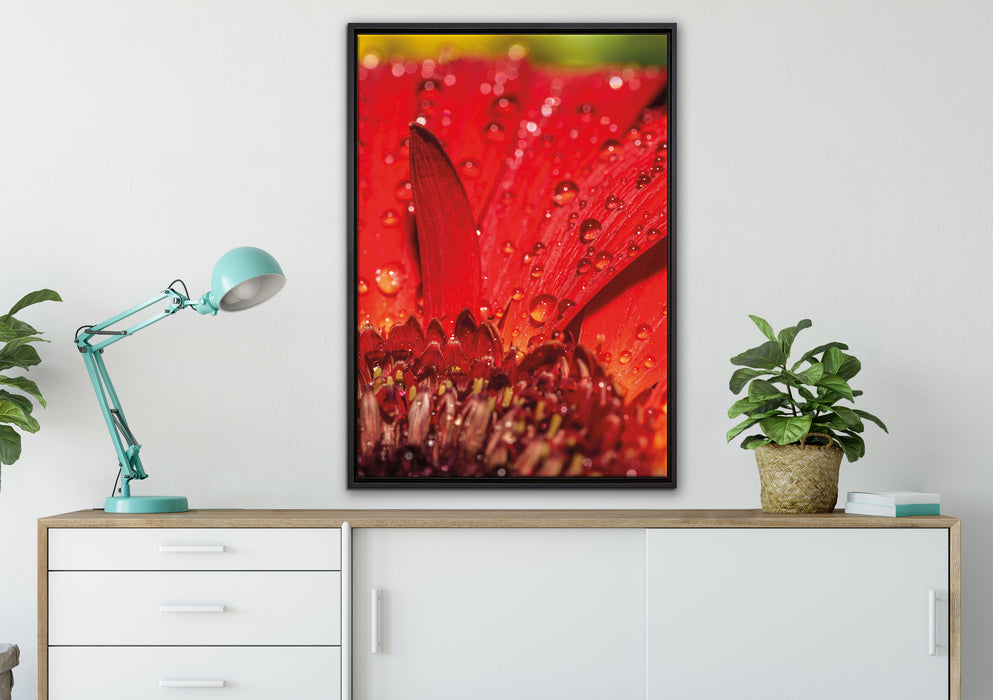 Tautropfen auf roter Blume auf Leinwandbild gerahmt verschiedene Größen im Wohnzimmer