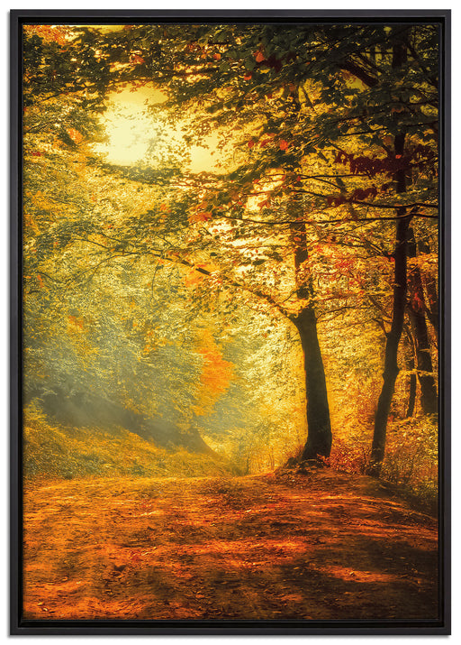 Wald im Herbst auf Leinwandbild gerahmt Größe 100x70