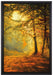 Wald im Herbst auf Leinwandbild gerahmt Größe 60x40