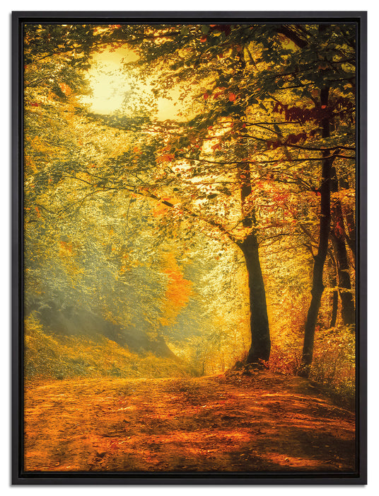Wald im Herbst auf Leinwandbild gerahmt Größe 80x60