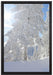 Winterlandschaft Bäume auf Leinwandbild gerahmt Größe 60x40
