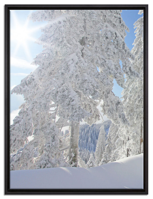 Winterlandschaft Bäume auf Leinwandbild gerahmt Größe 80x60