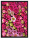 Rosa Rote Rosen auf Leinwandbild gerahmt Größe 80x60