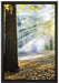Sonnenstrahlen im Wald auf Leinwandbild gerahmt Größe 60x40