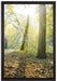 Sonnenstrahlen auf Waldlichtung auf Leinwandbild gerahmt Größe 60x40