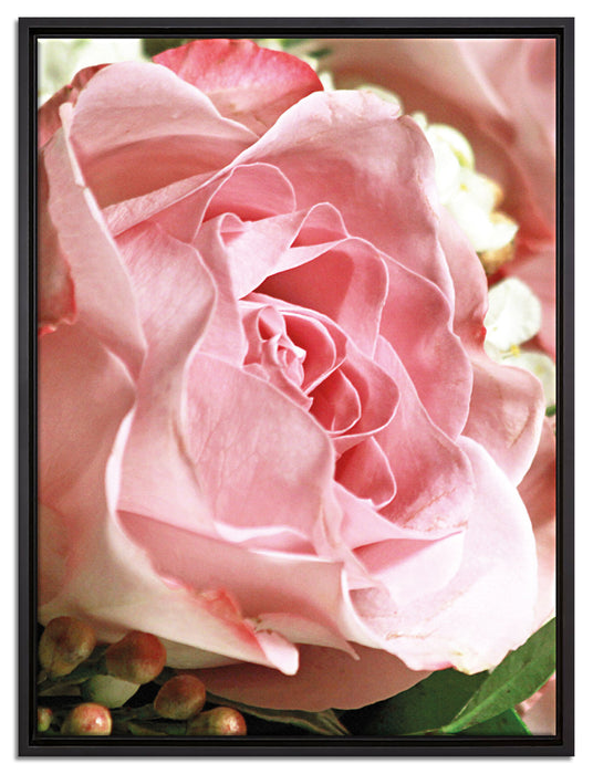 Rosa Rose auf Leinwandbild gerahmt Größe 80x60