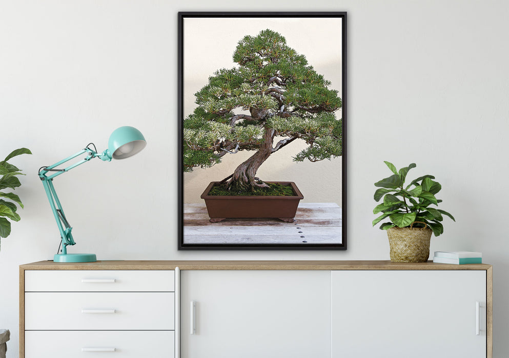 Bonsai Baum auf Leinwandbild gerahmt verschiedene Größen im Wohnzimmer