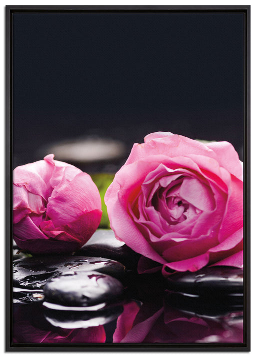 Rosa Rosenblüte Hintergrund auf Leinwandbild gerahmt Größe 100x70