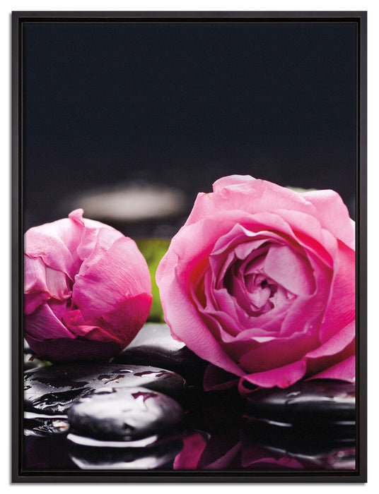 Rosa Rosenblüte Hintergrund auf Leinwandbild gerahmt Größe 80x60