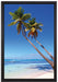 Palmen am Strand auf Leinwandbild gerahmt Größe 60x40