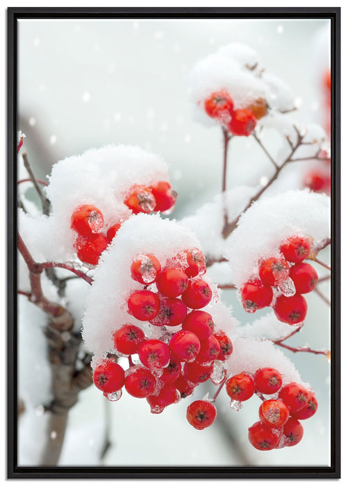 Gefrorene Äste auf Leinwandbild gerahmt Größe 100x70