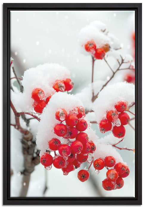 Gefrorene Äste auf Leinwandbild gerahmt Größe 60x40