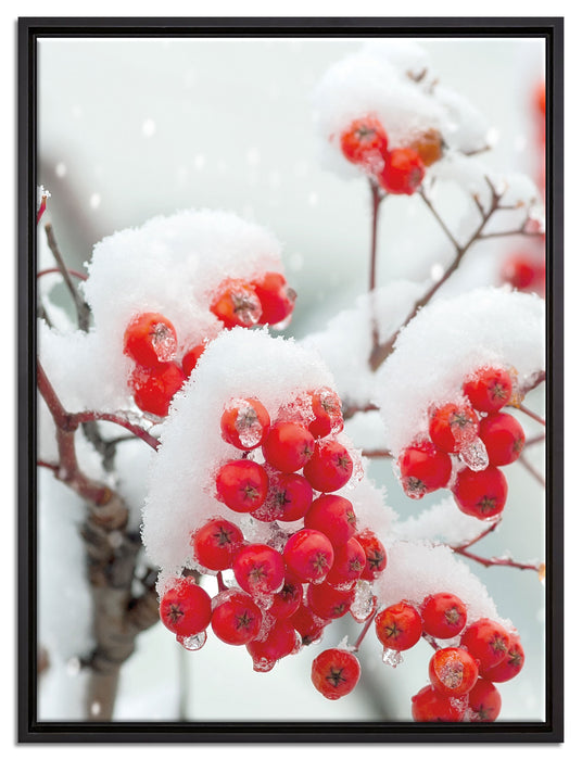 Gefrorene Äste auf Leinwandbild gerahmt Größe 80x60