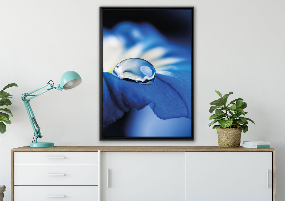 Wassertropfen auf blauer Blüte auf Leinwandbild gerahmt verschiedene Größen im Wohnzimmer