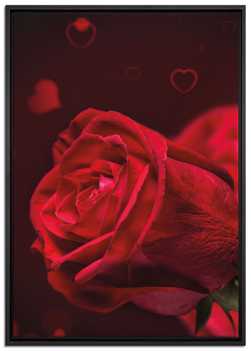 Rote Rosen Valentinstag auf Leinwandbild gerahmt Größe 100x70