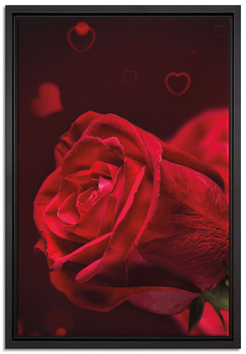 Rote Rosen Valentinstag auf Leinwandbild gerahmt Größe 60x40