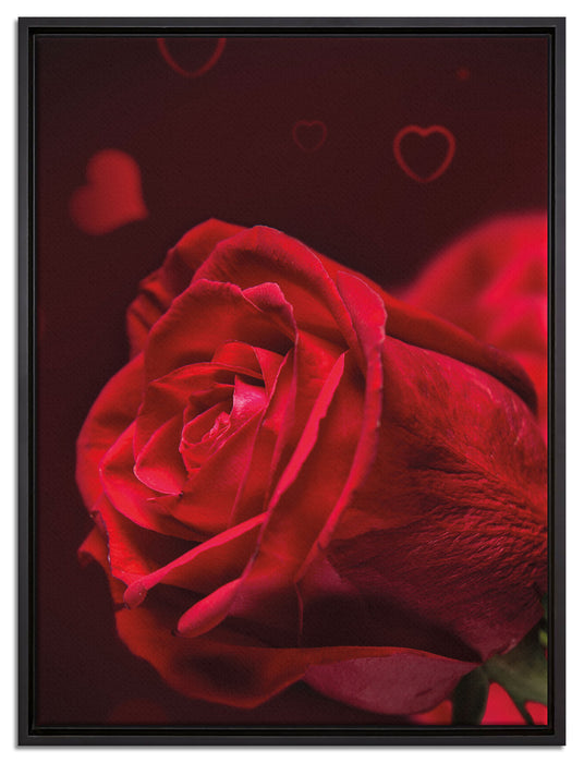 Rote Rosen Valentinstag auf Leinwandbild gerahmt Größe 80x60