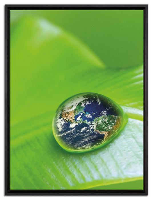 Tautropfen Planet Erde auf Leinwandbild gerahmt Größe 80x60