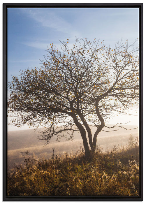 Baum im hohen Gras auf Leinwandbild gerahmt Größe 100x70