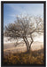 Baum im hohen Gras auf Leinwandbild gerahmt Größe 60x40