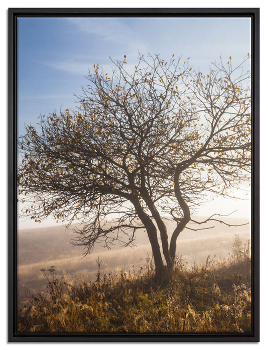 Baum im hohen Gras auf Leinwandbild gerahmt Größe 80x60