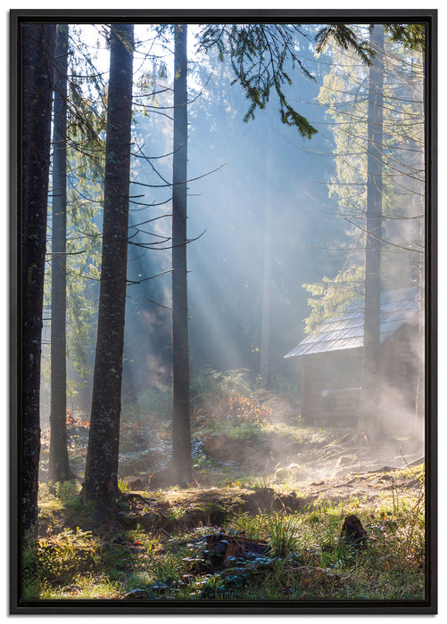 Sonnenstrahlen im Wald auf Leinwandbild gerahmt Größe 100x70