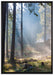 Sonnenstrahlen im Wald auf Leinwandbild gerahmt Größe 100x70