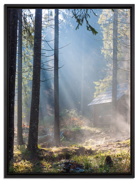 Sonnenstrahlen im Wald auf Leinwandbild gerahmt Größe 80x60