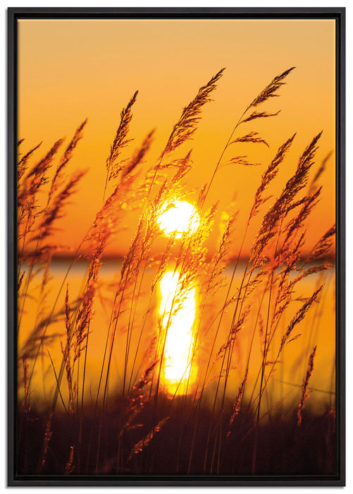 Sonne zwischen Gräsern auf Leinwandbild gerahmt Größe 100x70