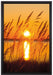 Sonne zwischen Gräsern auf Leinwandbild gerahmt Größe 60x40