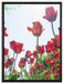 Tulpenfeld auf Leinwandbild gerahmt Größe 80x60