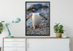 Pinguine auf Leinwandbild gerahmt verschiedene Größen im Wohnzimmer