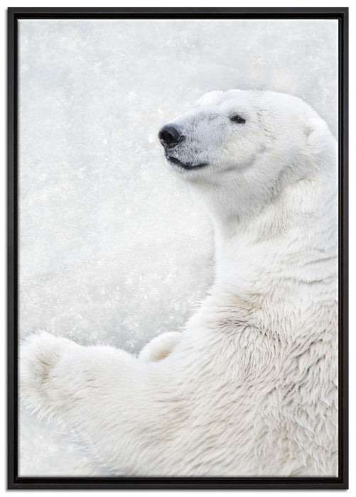 Stehender Eisbär auf Leinwandbild gerahmt Größe 100x70
