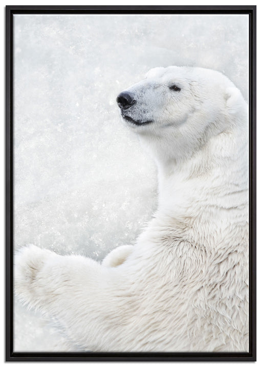 Stehender Eisbär auf Leinwandbild gerahmt Größe 100x70