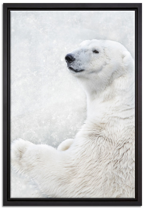 Stehender Eisbär auf Leinwandbild gerahmt Größe 60x40
