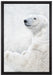 Stehender Eisbär auf Leinwandbild gerahmt Größe 60x40