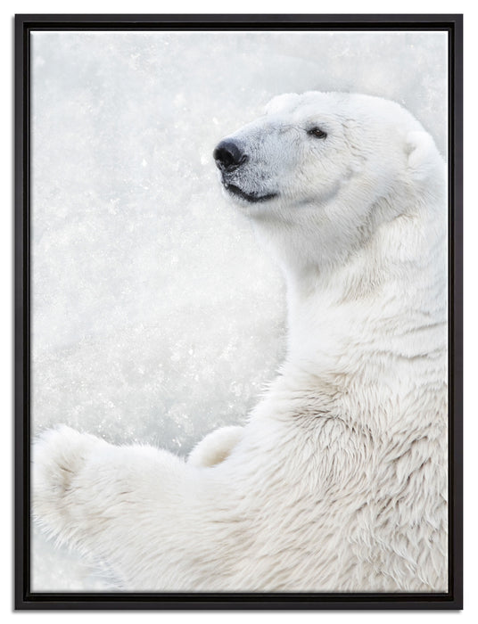 Stehender Eisbär auf Leinwandbild gerahmt Größe 80x60