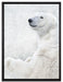 Stehender Eisbär auf Leinwandbild gerahmt Größe 80x60