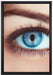 Auge einer Frau auf Leinwandbild gerahmt Größe 60x40