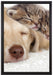 Kätzchen und Hund schmusend auf Leinwandbild gerahmt Größe 60x40