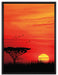 Roter Sonnenuntergang in Afrika auf Leinwandbild gerahmt Größe 80x60