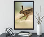 Hüpfender Hase auf Leinwandbild gerahmt mit Kirschblüten