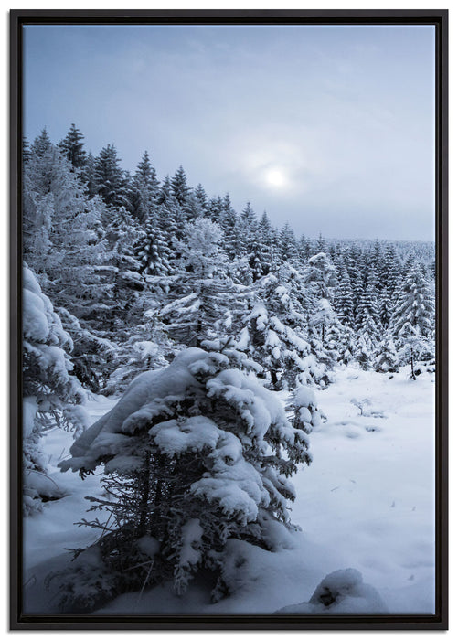 Winterlandschaft vereister See auf Leinwandbild gerahmt Größe 100x70