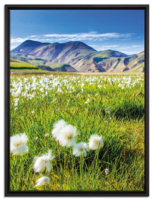 Alpenwiese auf Leinwandbild gerahmt Größe 80x60