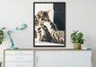 Fighting Cats auf Leinwandbild gerahmt verschiedene Größen im Wohnzimmer