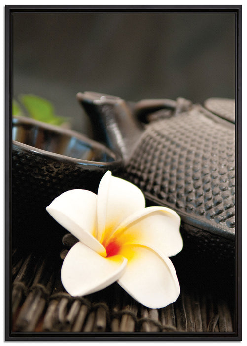 Teekanne mit Kräutern auf Leinwandbild gerahmt Größe 100x70